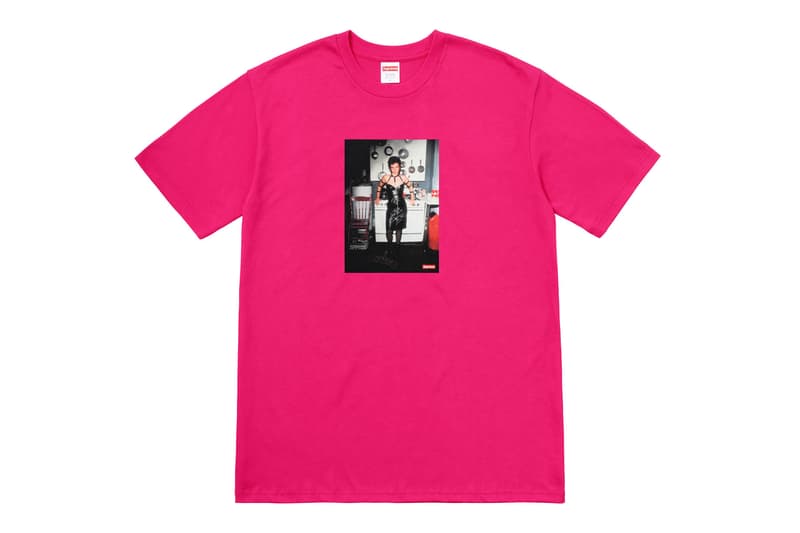 슈프림 x 낸 골딘 2018 봄, 여름 협업 supreme nan goldin spring summer