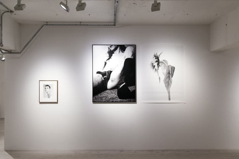 윌리 반더페리 런던 전시 라프 시몬스 willy vanderperre exhibition london