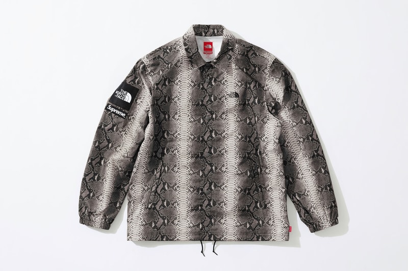 슈프림 x 노스페이스 뱀피 무늬 컬렉션 2018 supreme north face snakeskin print 봄 spring