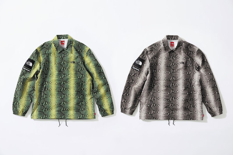 슈프림 x 노스페이스 뱀피 무늬 컬렉션 2018 supreme north face snakeskin print 봄 spring