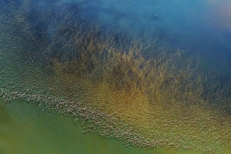 <내셔널 지오그래픽>이 선정한 올해의 여행 사진