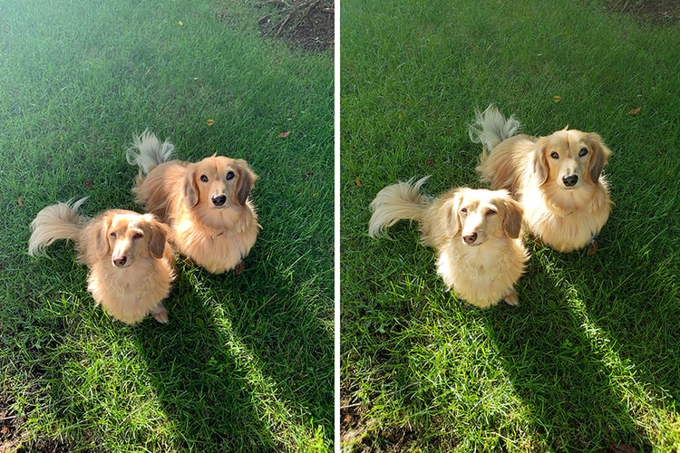 아이폰 XS : 아이폰 X : 갤럭시 S9, 카메라 성능 비교