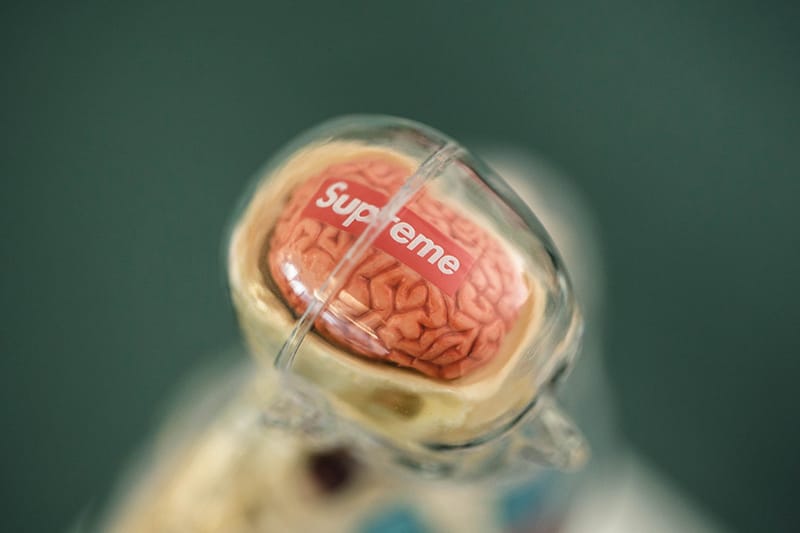 별걸 다 만드는 슈프림의 인체 해부 모형 실물 사진