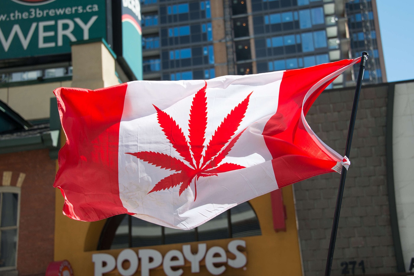 캐나다, 전 세계에서 두 번째로 마리화나 합법화 대마초 합법화
