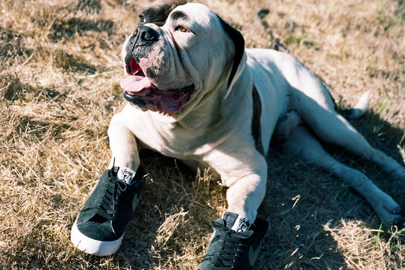 2018년 12월 둘째 주 신상 신발 목록