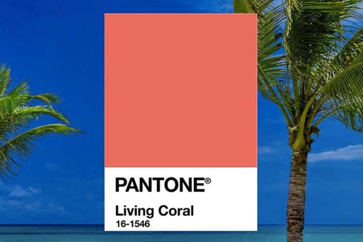 팬톤이 선정한 2019년 올해의 컬러는?