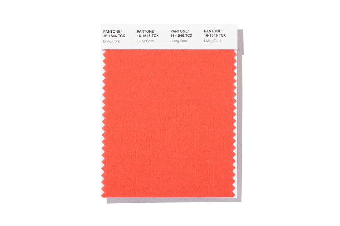 2019년 팬톤 올해의 컬러 올해의 색 리빙 코랄 living coral color of the year