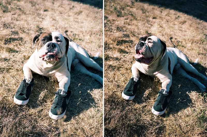 스투시 x 나이키 SB, 새 협업 블레이저 미드 사진 공개