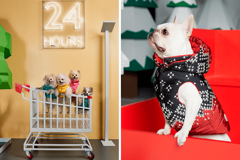 매튜 윌리엄스가 합류한 '몽클레르 지니어스' 프로젝트의 9가지 컬렉션 보기 1017 알릭스 9SM 크레이그 그린 