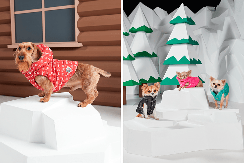 매튜 윌리엄스가 합류한 '몽클레르 지니어스' 프로젝트의 9가지 컬렉션 보기 1017 알릭스 9SM 크레이그 그린 