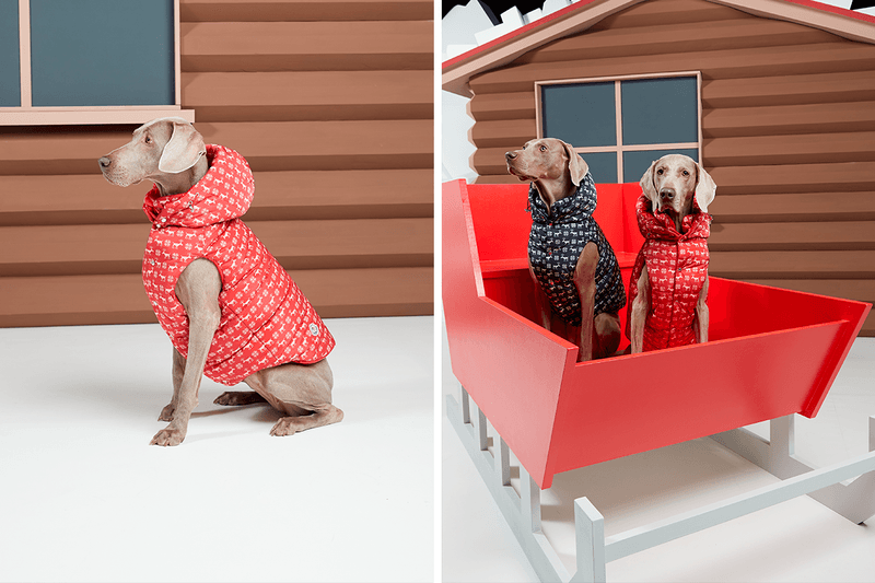 매튜 윌리엄스가 합류한 '몽클레르 지니어스' 프로젝트의 9가지 컬렉션 보기 1017 알릭스 9SM 크레이그 그린 