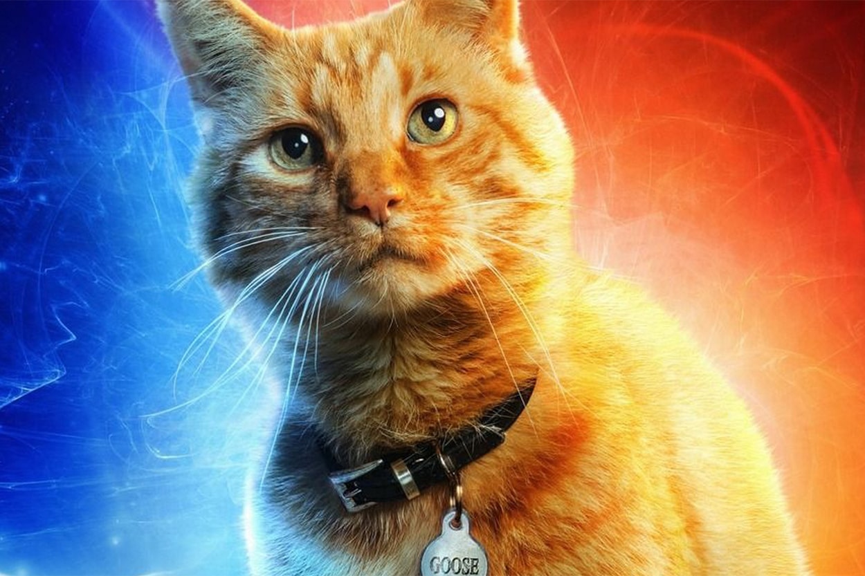 스포일러 주의, '캡틴 마블'의 쿠키영상 내용 요약 닉 퓨리 고양이 구스