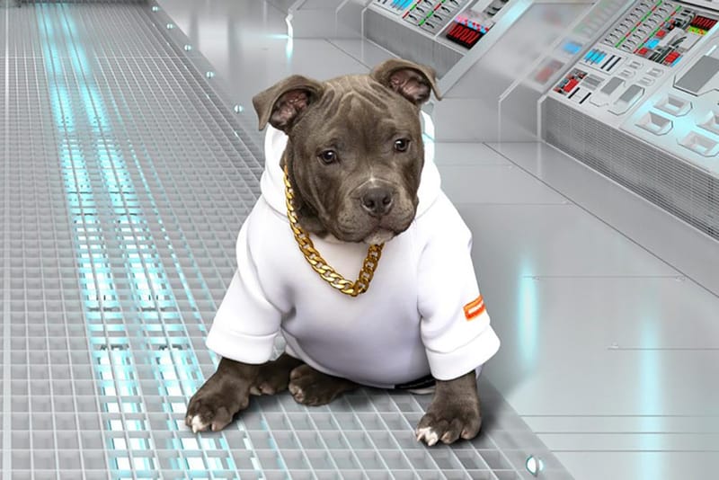 헤론 프레스턴이 제작한 반려견용 스트리트웨어 및 액세서리 컬렉션