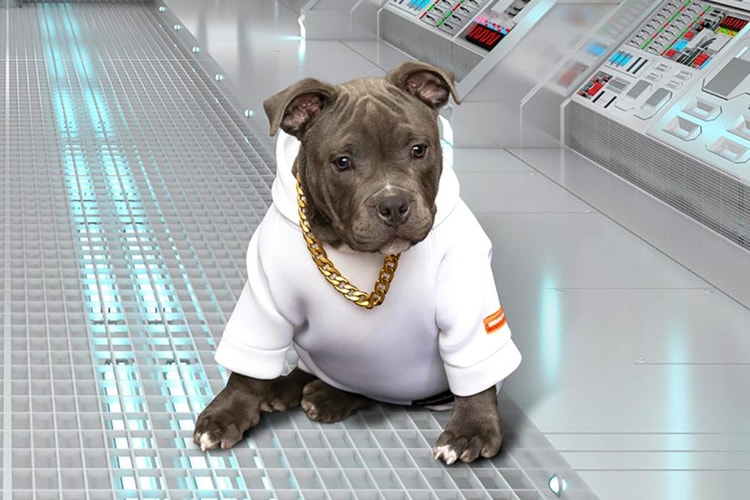 헤론 프레스턴이 제작한 반려견용 스트리트웨어 및 액세서리 컬렉션