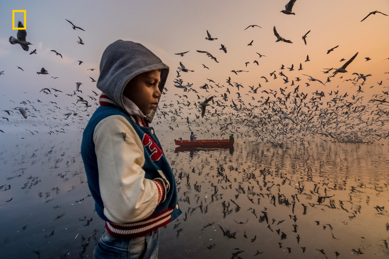 '내셔널 지오그래픽'의 세계 2019 올해의 여행 사진 공모전, 최종 수상작, 그린란드의 겨울, 웨이민 추 