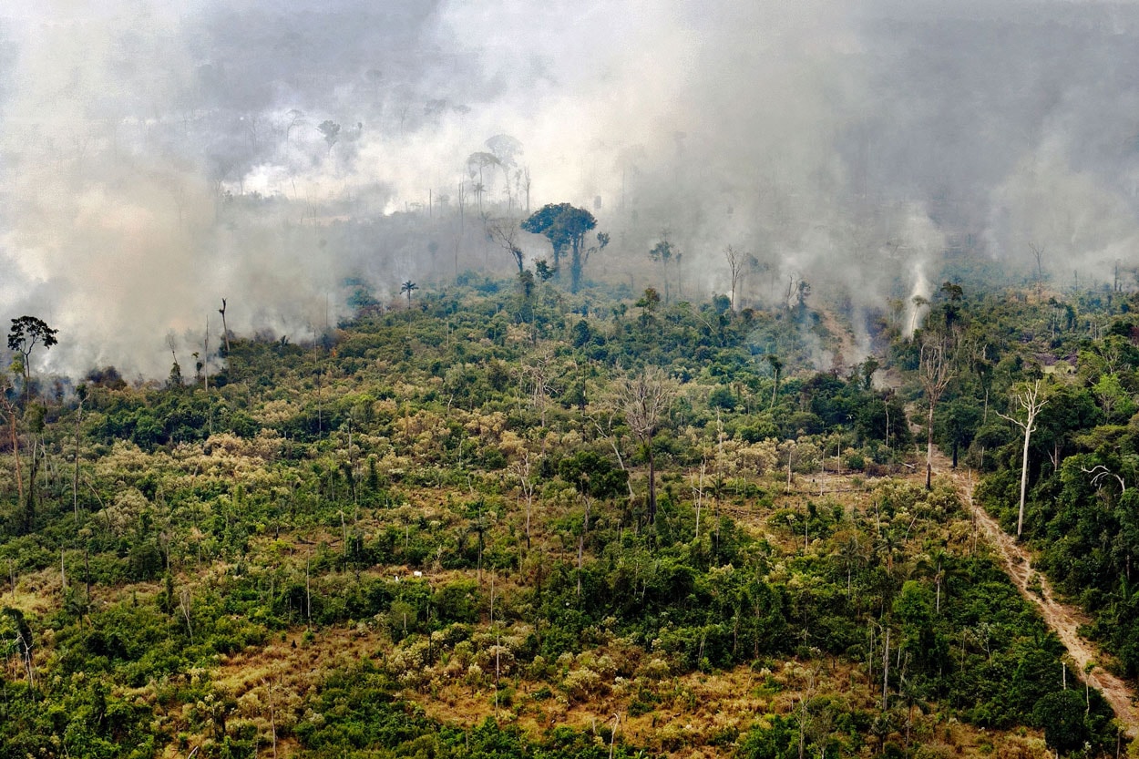 루이 비통의 LVMH, 아마존 화재 피해 복구에 135억 원 기부, 베르나르 아르노