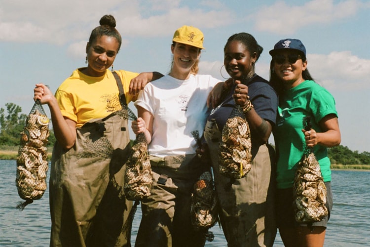 굴을 되살리자, 노아 '오이스터맨 마스코트' 컬렉션
