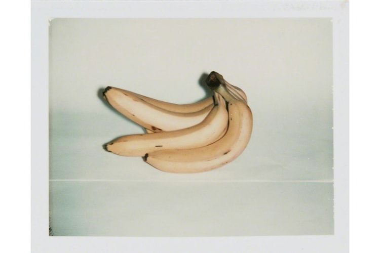 앤디 워홀, 생애 마지막 30년을 기록한 사진전 개최