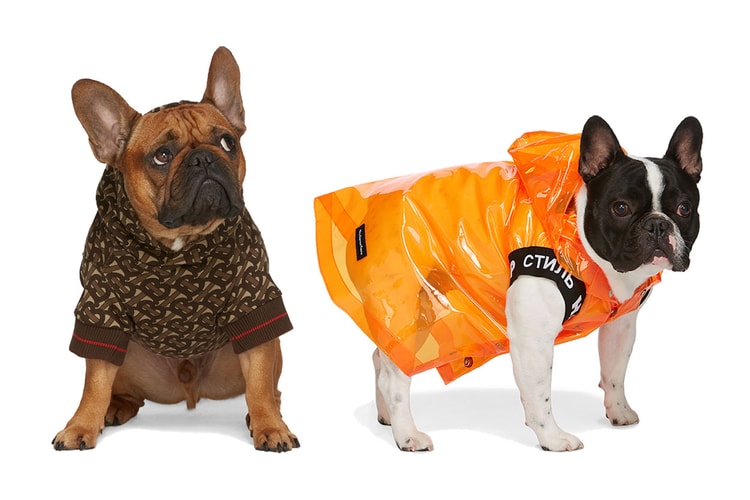 몽클레르, 버버리, 베르사체 등 에센스 '펫웨어' 카테고리 론칭