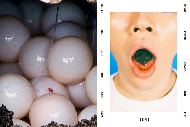 선데 스쿨, 부활절을 기념하는 ‘제네시스: 르네상스’ 캠페인 룩북 공개, 대마초의 날