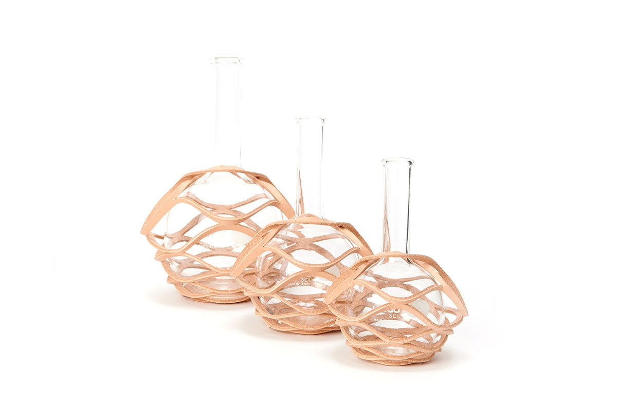 헨더 스킴, 과학 실험 기구를 활용한 ‘science vase:꽃병’, 비이커, 플라스크, 샬레