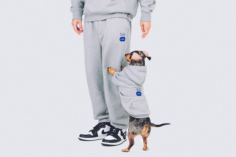 반려 동물을 위한, 예일과 나이스웨더의 협업 캡슐 컬렉션