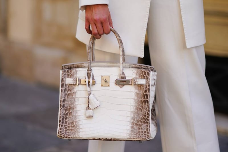 에르메스, 가방 제작 위해 악어 5만 마리 규모의 대농장 연다