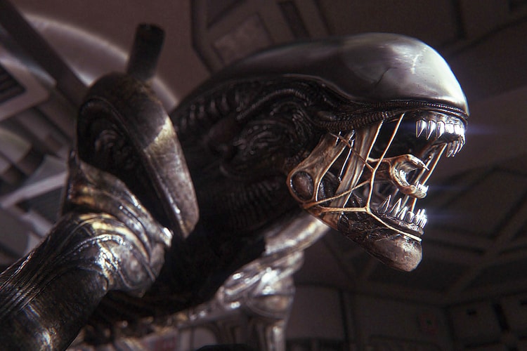 에픽게임즈, 15일간 하루 한 개씩 무료 게임 배포