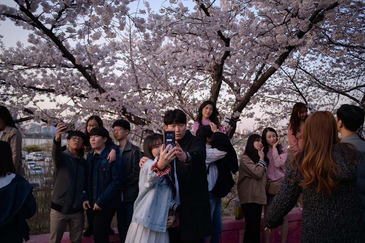 '2021년 여의도 벚꽃 축제'는 래플 당첨자만 관람할 수 있다, 여의도 봄꽃 축제, 코로나19, 봄소풍, 산책, 나들이