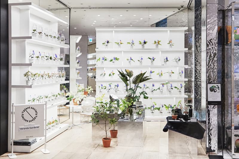 식목일 기념해 가기 좋은, 분더샵과 플랜트소사이어티1의 희귀 식물 팝업 들여다보기