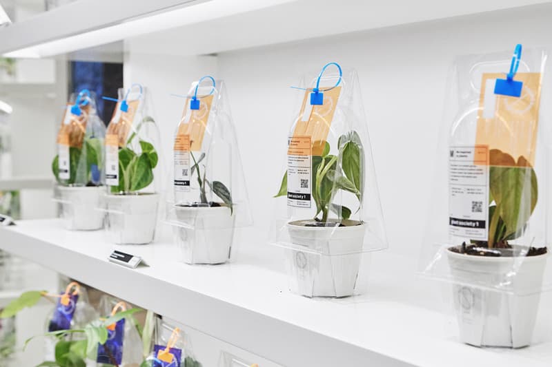 식목일 기념해 가기 좋은, 분더샵과 플랜트소사이어티1의 희귀 식물 팝업 들여다보기