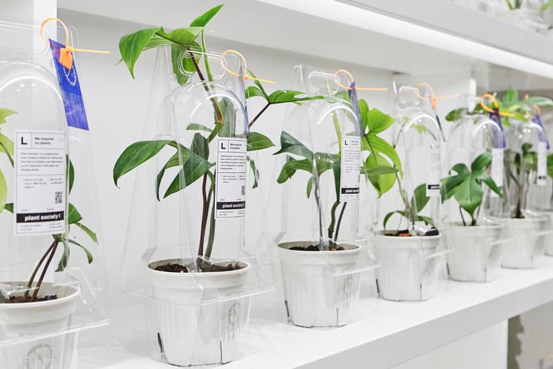 식목일 기념해 가기 좋은, 분더샵과 플랜트소사이어티1의 희귀 식물 팝업 들여다보기