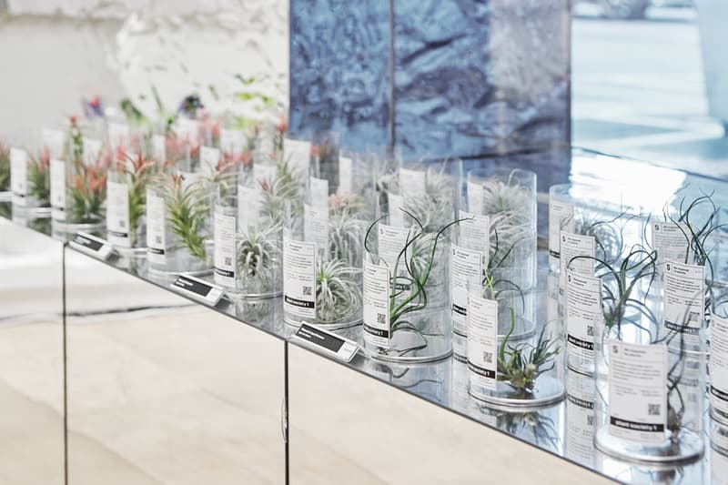 식목일 기념해 가기 좋은, 분더샵과 플랜트소사이어티1의 희귀 식물 팝업 들여다보기