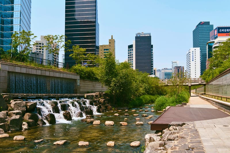 청계천을 막힘없이 달릴 수 있는 자전거전용도로가 개통됐다