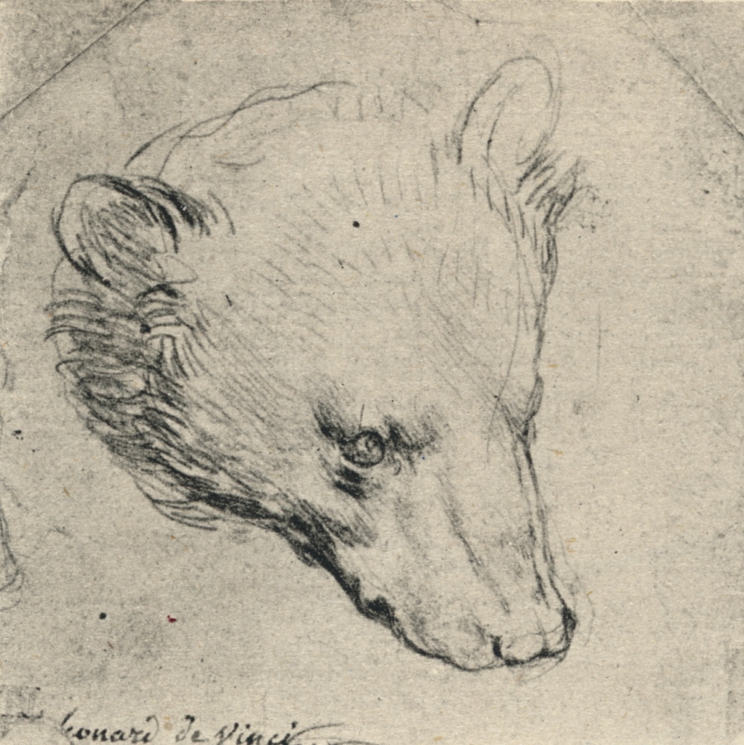 가로, 세로 7cm 크기의 ‘곰 그림’이 1백40억 원에 팔렸다, 레오나르도 다빈치