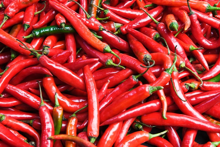 ‘우주산 고춧가루’ 만들어질까? 나사가 우주에서 ‘고추’를 재배한다