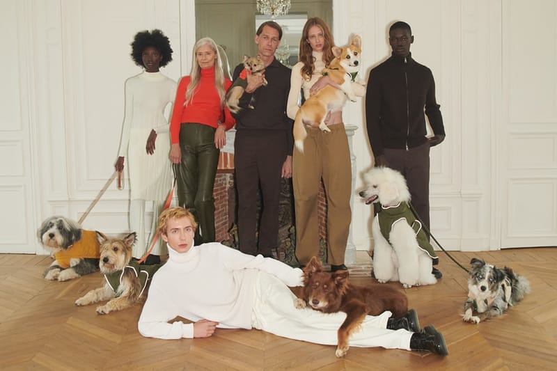 리드줄부터 패딩 재킷까지, 자라 2021 가을, 겨울 펫 컬렉션 출시 정보