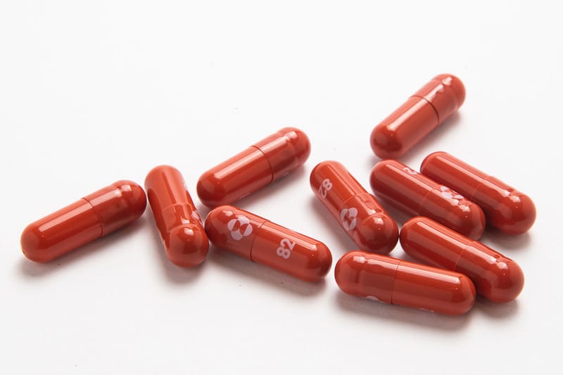 '코로나19 먹는 약' 복용 시 '4일간 성관계 금지'?