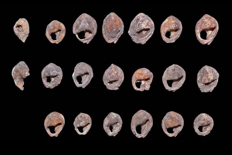 '인류 역사상 가장 오래된 주얼리'의 소재는?