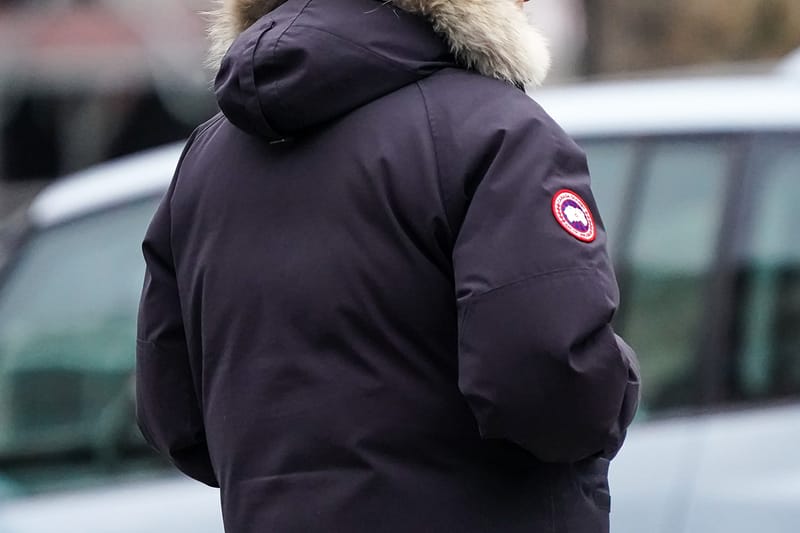 구스 다운 가격, 전년 대비 12% 인상됐다