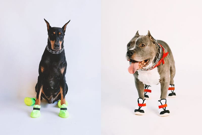 반려견 스니커 브랜드 리프러프, 새로운 실루엣 '시저 1S' 출시