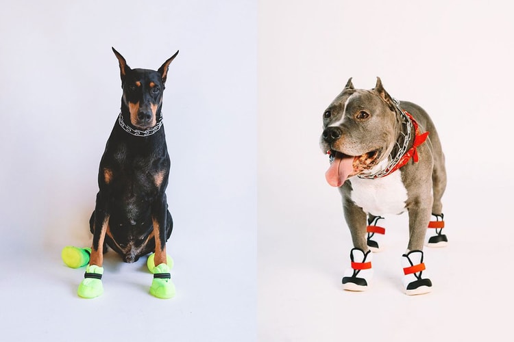 반려견 스니커 브랜드 리프러프, 새로운 실루엣 '시저 1S' 출시