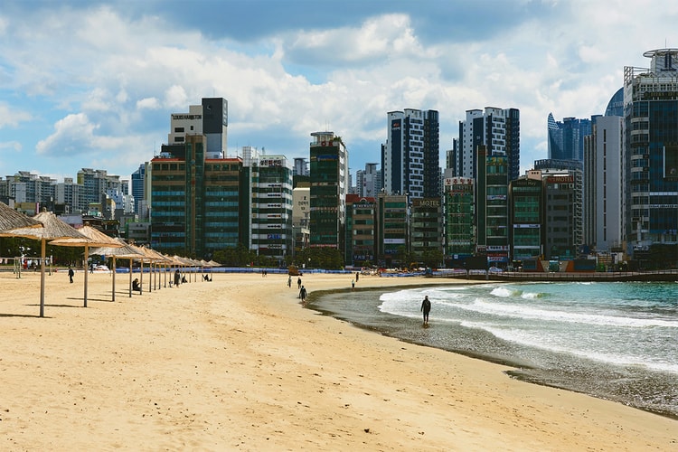 부산행 KTX 티켓 가격, 오늘부터 50% 할인된다