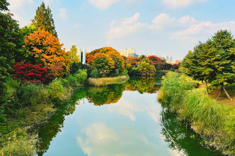 서울시에 2,000㎞ 규모의 숲길이 조성된다