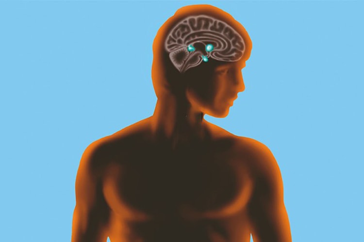 전 세계 IQ 1위에 한국 사람이 등재됐다