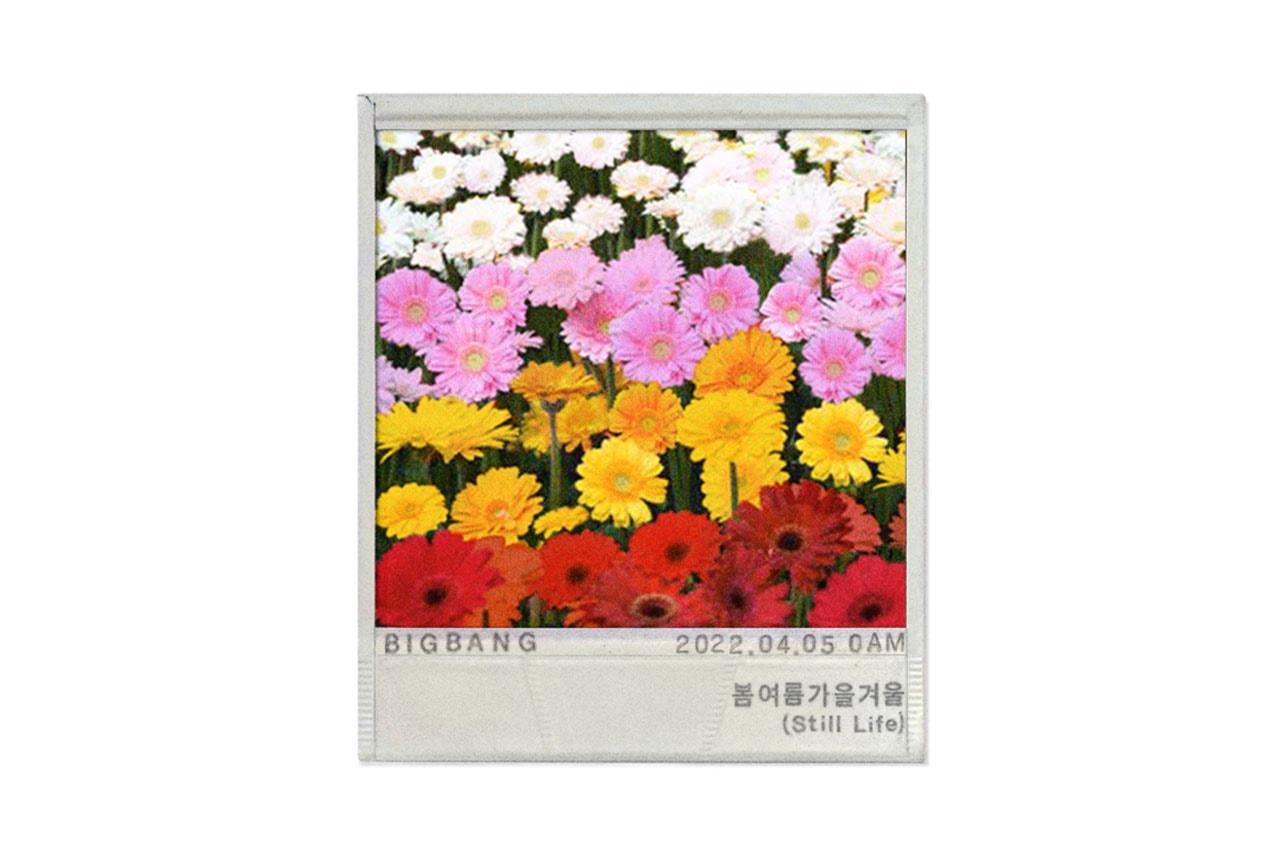 빅뱅, 4년 만의 신곡 제목과 타이틀 포스터 공개, 봄여름가을겨울, Still Life, 데이지꽃