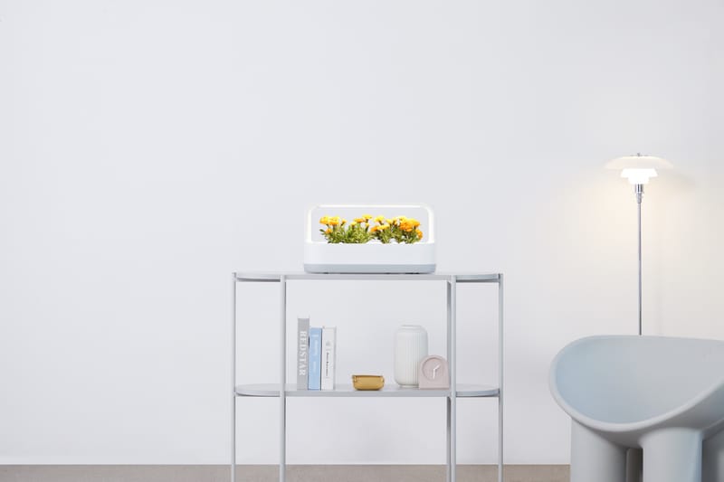 그대 작은 창가에, LG 틔운 미니