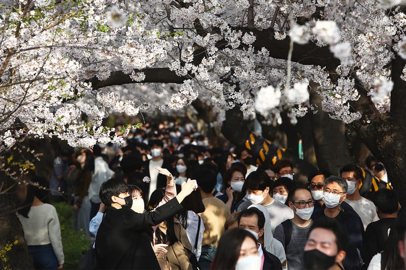 사회적 거리두기 완화 이후, 국내에서 판매량 급증한 ‘이것’의 정체는?