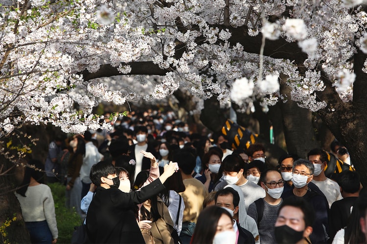 사회적 거리두기 완화 이후, 국내에서 판매량 급증한 ‘이것’의 정체는?