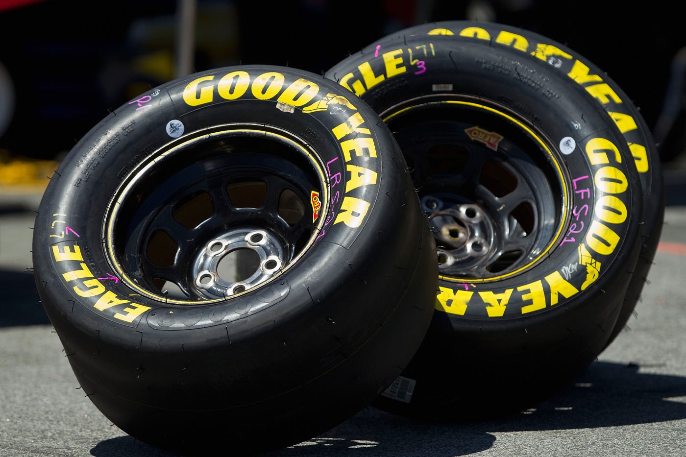 ‘민들레 꽃’으로 만든 고무 타이어가 개발 중이다, 굿이어, 미국 국방부